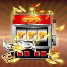 7d bet